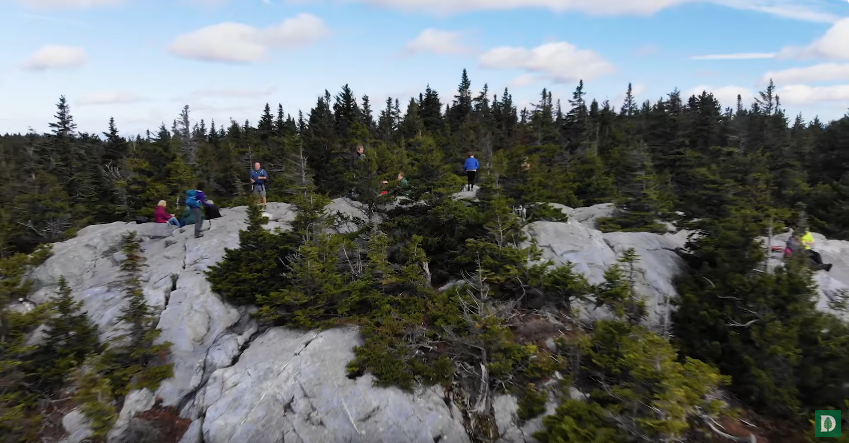 Students hiking